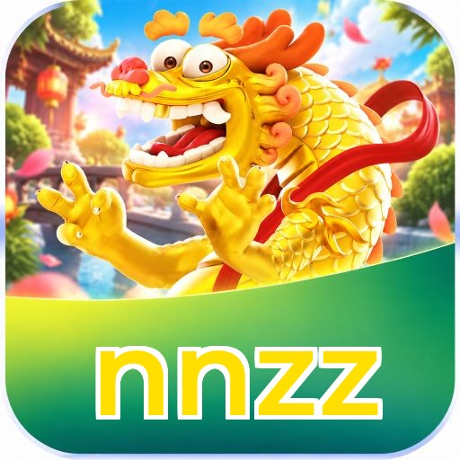 nnzz Segurança